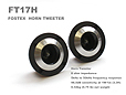 FOSTEX FT17H